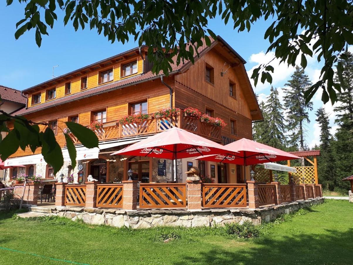 Penzion Planicka Černá v Pošumaví Exterior foto